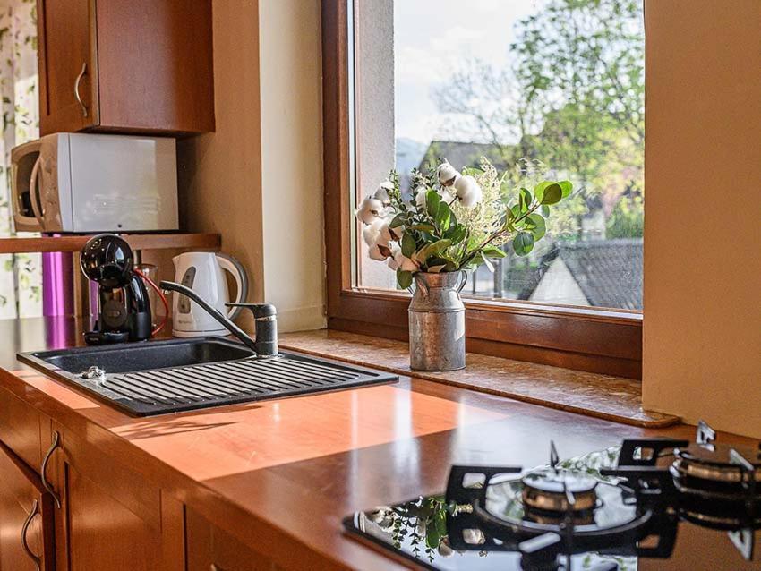 Visitzakopane - Apartament Rodzinny Kültér fotó